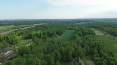 Doğal iklim akciğerlerini temsil eden el değmemiş orman.