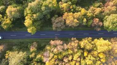 Araç rengarenk sonbahar orman manzarasında ilerliyor