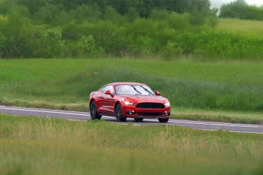 Parlak spor coupe manzaralı kırsal yolda sürüyor