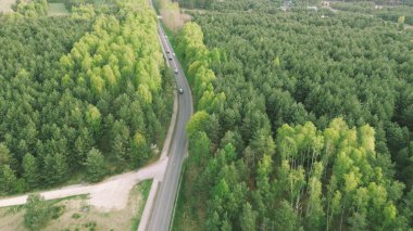 Dolambaçlı yolu ve trafiği olan ormanlık alan