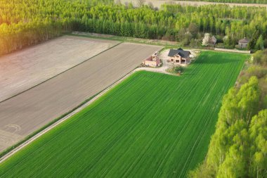 Manzaralı kırsal alanda ahşap ev yapımı