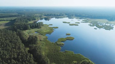 Mavi Göl 'de Sazlıkların Güneşli Gün Görünümü