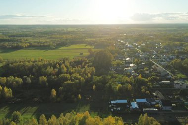 Renkli orman ağaçlarıyla güzel sonbahar manzarası