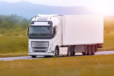 Kargo kamyonu doğal ortamda sürüyor.
