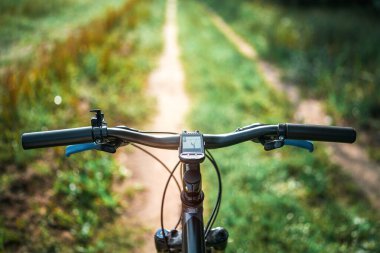 Dar bir orman yolunda bisiklet süren bir bisikletçi.