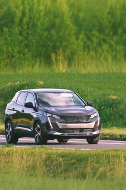 Yeşil alandan geçen rahat bir SUV.