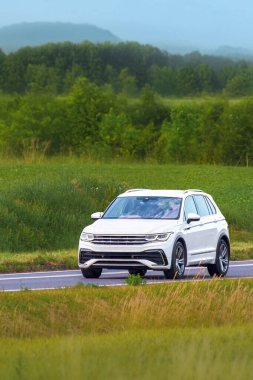 Yaz yolculuğunda çevresi doğa ile çevrili bir SUV.