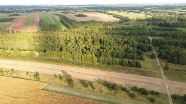 Kırsal alanlar ve sonbahar ağaçları