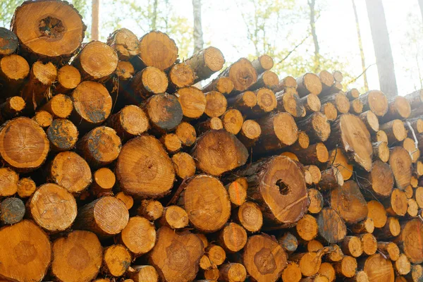 Tahta çam sandıklar değirmen için hazır.