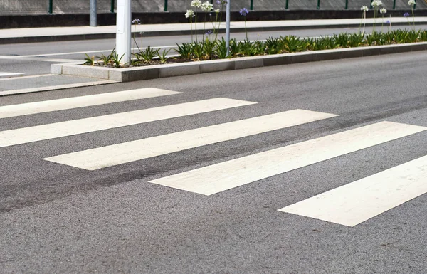 Şehir caddesinde yaya zebrası işareti var.