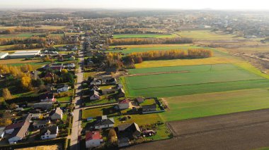Parlak kırsal bir yolu çevreleyen renkli ağaçlar