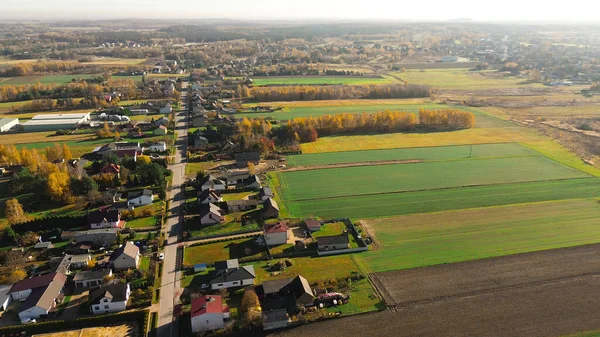 Parlak kırsal bir yolu çevreleyen renkli ağaçlar