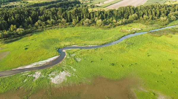 Nehir ve ormanla dolu bereketli yaz manzarası