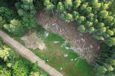 Kereste ve ağaçlarla sürdürülebilir ev inşaatı