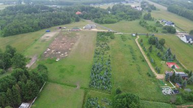 Açık Alan Çam Ormanına Dönüştürüyor