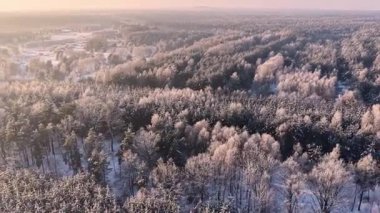 Uçsuz bucaksız soğuk, donmuş vahşi doğanın insansız hava aracı görüntüleri.