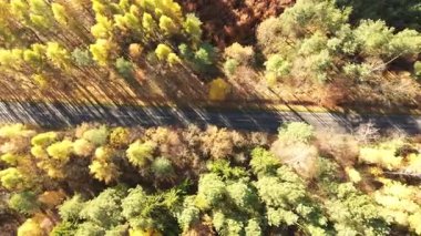 Doğadaki yol altyapısının güzel hava manzarası