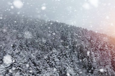 Donmuş ağaçlar ve dağ manzaralı karlı bir kırsal.