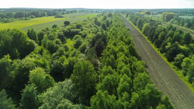 Ekin tarlalarının yanındaki ormanlık alan