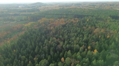 Renkli sonbahar manzarası.