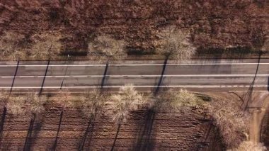 Yeşil yaz yolunda ulaşım ve seyahat kavramı