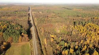 Demiryolu rayları derin yeşil ormanı kesiyor.