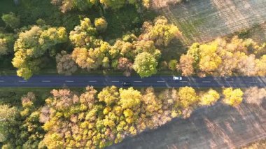 Araba canlı mevsimlik ormanlarda hareket ediyor.