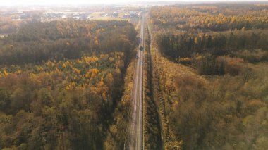 Paralel demiryolları olan sonbahar orman manzarası