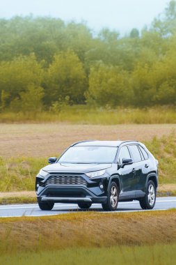 Asfalt yolda güvenilir bir günlük geçiş aracı.