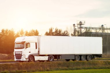 Kargo kamyonu asfalt yolda.