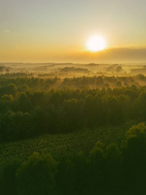 Şafak sisi tarlaları ve orman vadilerini kaplıyor