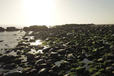 Berrak mavi deniz suyuyla sakin bir sahil