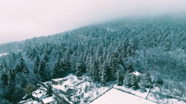 Karlı dağlar ve ağaçların manzarası
