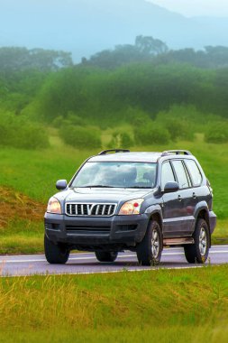 Aile cipi yaz tatili macerasının tadını çıkarıyor.