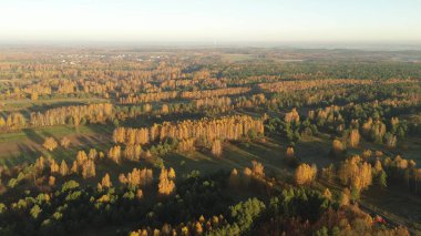 Toprağın ve sonbahar ormanlarının en iyi manzarası
