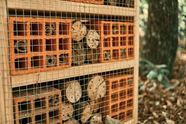 Biyolojik çeşitliliği ve ekolojiyi destekleyen Eko Böcek Evi