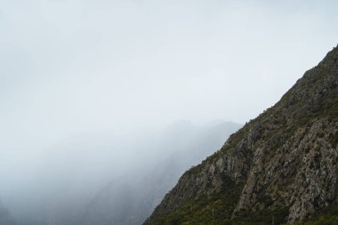Dağın tepeleri sisli yemyeşil fiyort