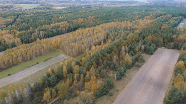 Ekinleri ve çayırı olan renkli kırsal alan