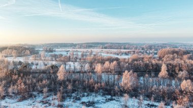 Beyaz karla kaplı huzurlu bir ormanın insansız hava aracı çekimi.