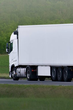 Beyaz ticari kamyon otlaktan kargo taşıyor.