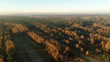 Sonbahar mevsiminde yeşil çayırlar ve sarı ağaçlar