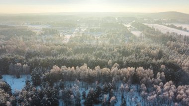 Altın güneş ışınlarıyla sersemletici kış manzarası
