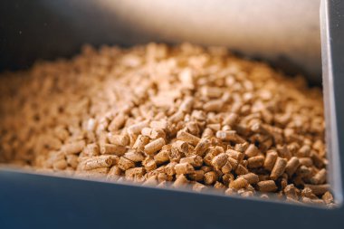 Biyokütle topaklarının doğal ahşap dokusu