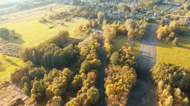 Empty forest road symbol of freedom