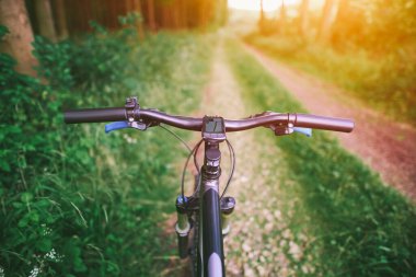 Manzaralı orman yolunda bisiklet sürmek