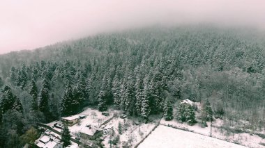 Karlı tepeler ve ağaçlarla manzaralı kış manzarası