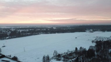 Karlı ağaçlı manzaralı kış ormanı