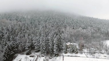 Ağaçlar ve gökyüzüyle donmuş dağ manzarası