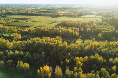 Tarlalar ve orman arazisi üzerinde sabah ışığı