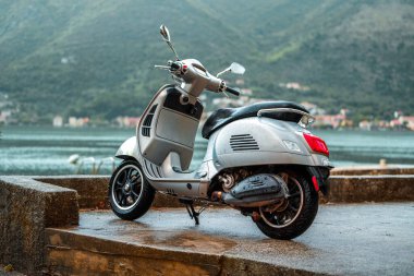 Kırsalda göl kenarındaki gümüş motosiklet.